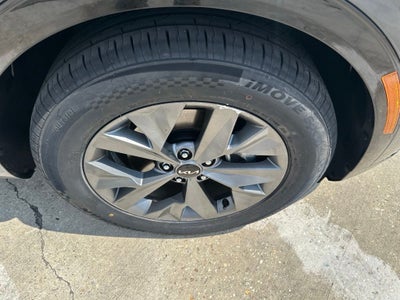 2024 Kia Sportage SX