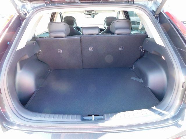 2024 Kia Niro EV Wind