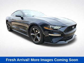 2021 Ford Mustang EcoBoost