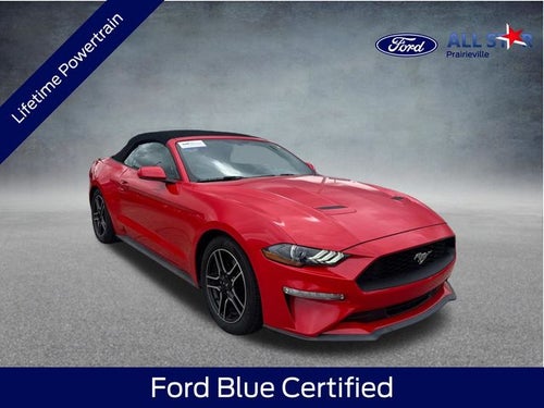 2019 Ford Mustang EcoBoost
