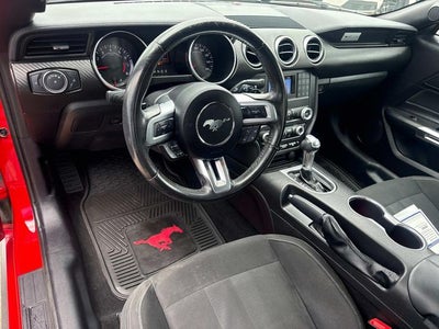 2019 Ford Mustang EcoBoost