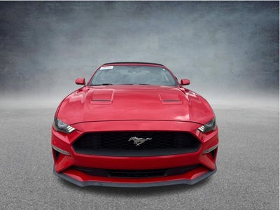 2019 Ford Mustang EcoBoost