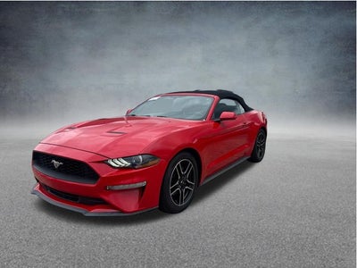 2019 Ford Mustang EcoBoost
