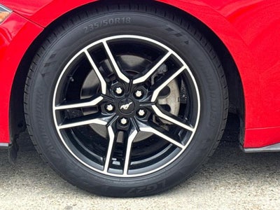 2019 Ford Mustang EcoBoost