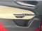 2024 Lexus NX 250 Base