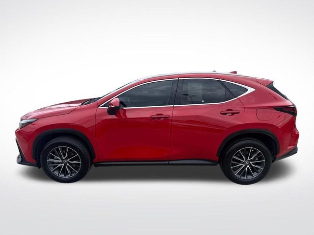 2024 Lexus NX 250 Base