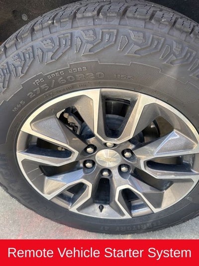 2019 Chevrolet Silverado 1500 LT Texas Edition